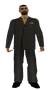 gaya