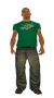 Dani